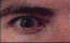Augen GIFs Animationen umsonst