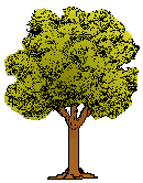 Bäume animierte gifs