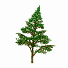 Bäume animierte GIFs