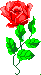 Blumen animiertes GIF