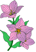 Blumen animierte GIFs