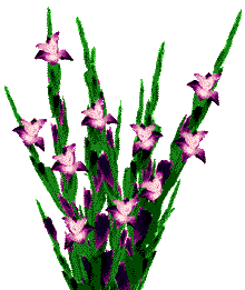 Blumen animierte gifs