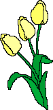 Blumen GIFs download
