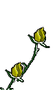Blumen GIFs Animationen umsonst