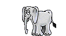 Elefanten GIFs Animationen umsonst