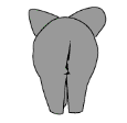 elefant-animierte-gifs-10