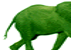 Elefanten gratis GIFS