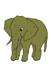 Elefanten aniGIFs & bewegte Bilder