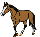 pferd-animierte-gifs-17