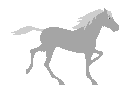pferd-animierte-gifs-19