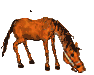pferd-animierte-gifs-20