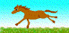 Pferde funny GIF animations