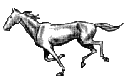 pferd-animierte-gifs-24