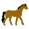 pferd-animierte-gifs-37