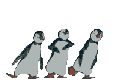 Pinguine fun gifs kostenlos