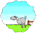 Schafe animierte GIFs