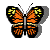 Schmetterlinge funny GIF animations