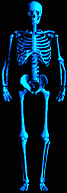 skelett-animierte-gifs-01