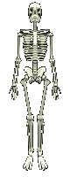 Skelette gratis GIFS