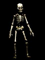 Skelette animierte GIFs