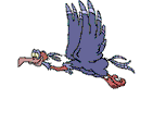 vogel-animierte-gifs-003