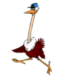 vogel-animierte-gifs-018