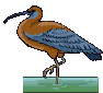 vogel-animierte-gifs-026