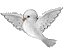 vogel-animierte-gifs-029