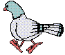 vogel-animierte-gifs-047