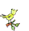 vogel-animierte-gifs-048