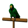 vogel-animierte-gifs-066