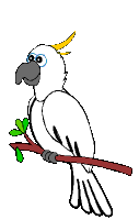 vogel-animierte-gifs-087