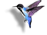 Vögel GIFs Animationen umsonst