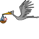 vogel-animierte-gifs-112