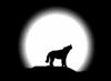 wolf-animierte-gifs-3