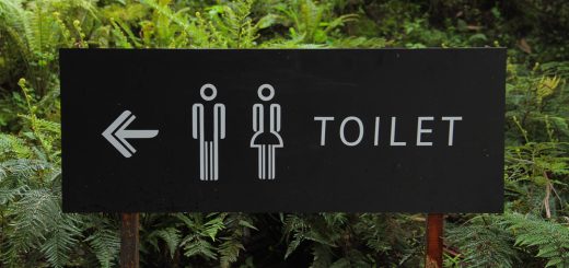 Wie sieht die Wartung von mobilen Toiletten aus?